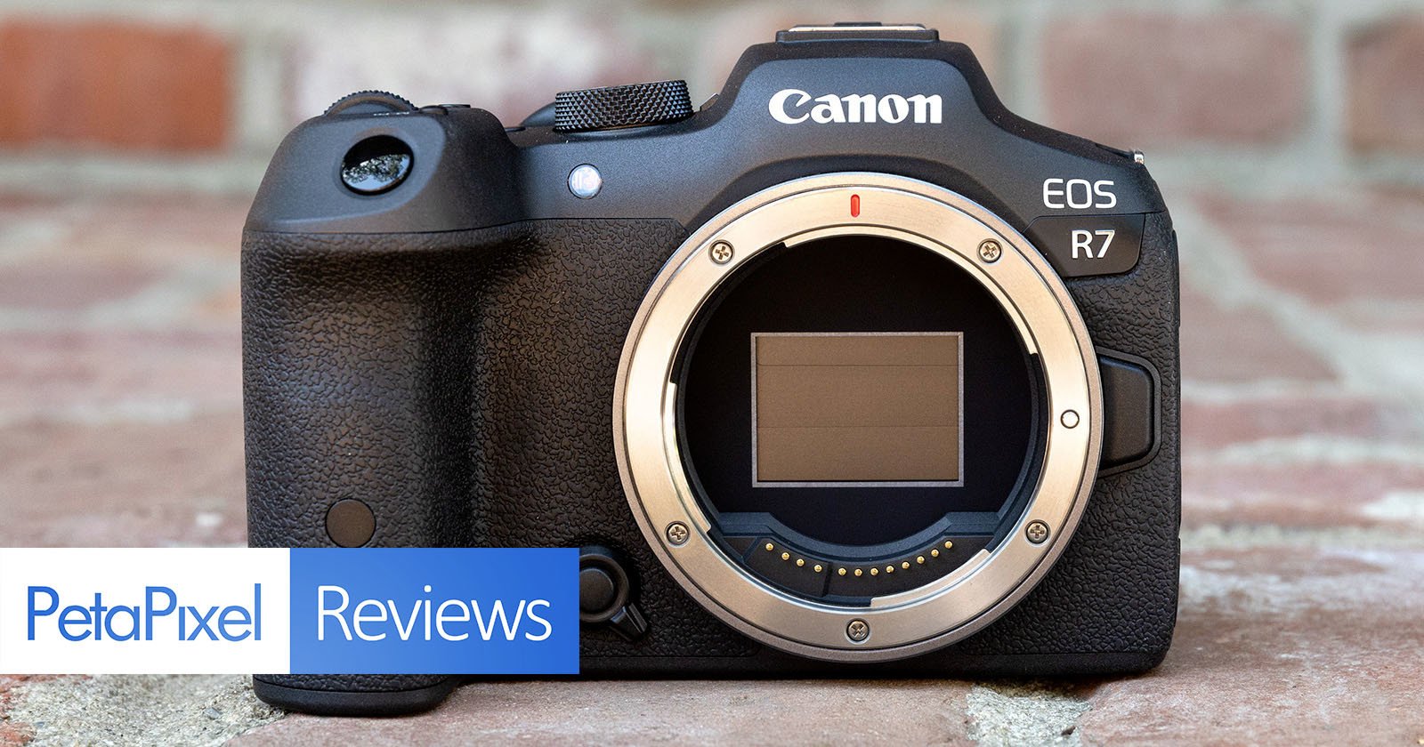 Canon EOS R7 Review: One of the Best Cameras Canon Makes - AskBill